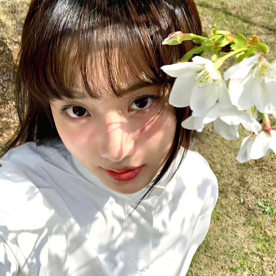 如果你是我的骄阳